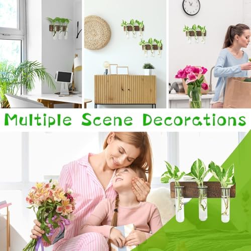 XXXFLOWER Wall Mounted Plant Terrarium with Wooden Stand 3 PCS - Image 6