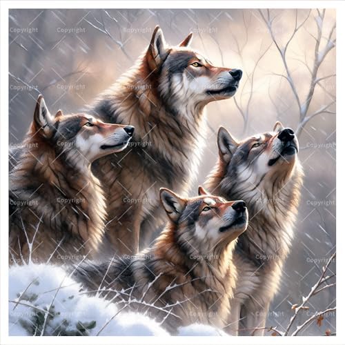 TAOPAOLAB Howling Wolves Digital Painting Kit for Adults - DIY Wolf Pack in Snow Oil Painting on Canvas 7.87x7.87in, Framed Acrylic Paint Kit, Good for Beginners, Home Decor or Gift Artwork by Unknown