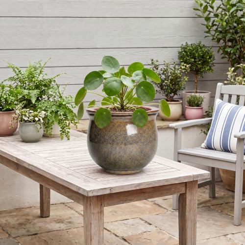 Ceramic Self Watering Pots, 8 Inch Ceramic Planter, Yellowish Brown - Image 5
