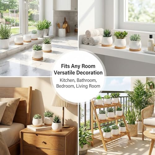 SHECIPIN 24 Pcs 2.5 Inch Small Succulent Pots with Drainage & Bamboo Trays - Assorted Small Succulent Planters Bulk for Home Office Garden Decor - Image 4