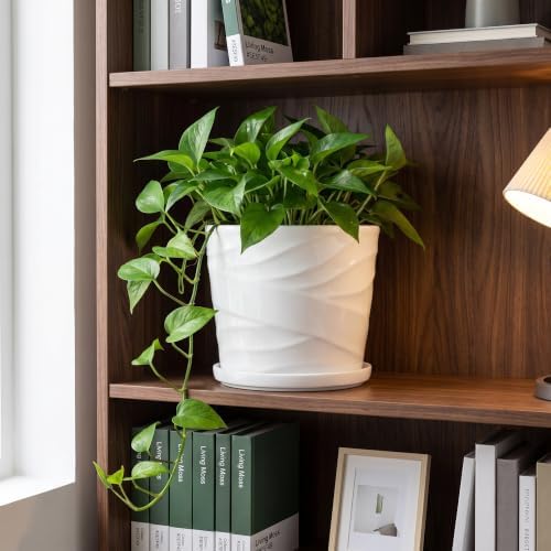 8 Inch Ceramic Plant Pot, White - Image 2