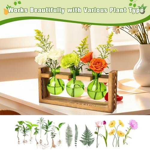 XXXFLOWER Plant Terrarium Jar Propagation Station Stand 3 Green Bulb Vases - Image 5