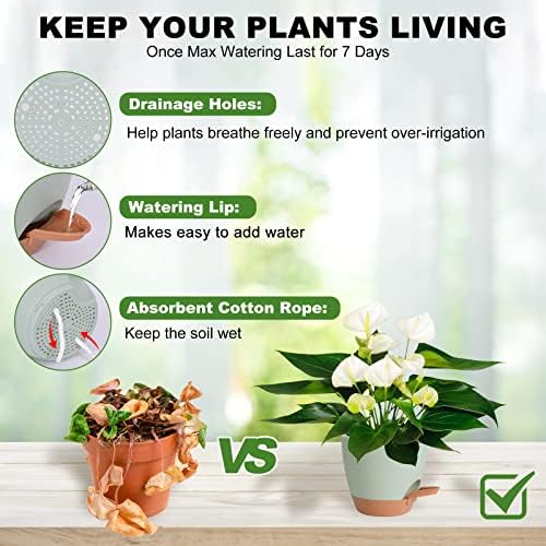 7/6.5/6/5.5/5 Inch Self Watering Pots for Indoor/Outdoor Plants, 5 Pack - Image 2