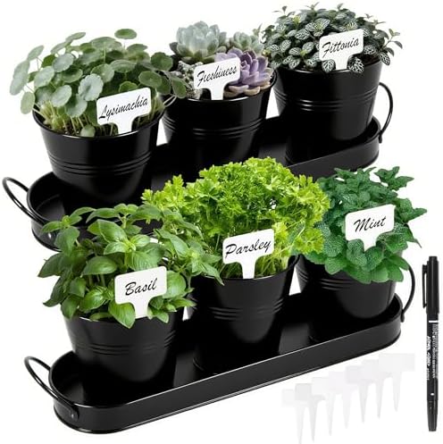 Herb Garden Planter Indoor Kit – 6 Metal Pots with 2 Trays for Windowsill & Kitchen Counter – Modern Decorative Indoor Planters for Herbs, Succulents & Small Plants, Black by Wacloud