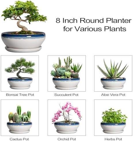 SQOWL Bonsai Pots Ceramic - 8 Inch Succulent Planters Indoor, Succulent Pot with Drainage Hole and Tray, Shallow Ceramic Plant Pot, Round Bowl Planter, Porch Decor, Gardening Gift, Blue Off-White - Image 7