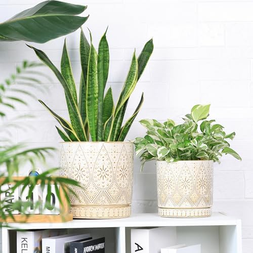 8 Inch + 6 Inch Indoor Plant Pot with Drainage Holes and Saucers, Ceramic Planter for Plants, Succulent Orchid Flower Pots - Image 2
