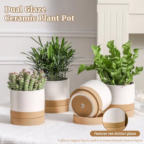 HASENSE Ceramic Plant Pots with Saucers Set of 4, 4.6 Inch Planters for Indoor Plants with Drainage Holes,Two-Tone White Flower Pots for Succulents, Snake Plants & Cactus, Farmhouse Desktop Decor - Image 4