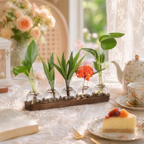 Plant Propagation Station with Wooden Stand, 5 Bulbs - Image 5