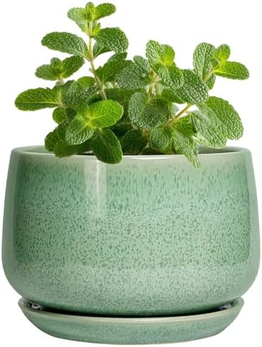 G EPGardening Ceramic Plant Pot - 4 inch Plant Pots with Drainage Hole & Saucer, Small Pots for Plant Indoor Outdoor, Modern Round Planter, Decorative Flower Pot, Room Decor, House Warming Gift, Green by GEPGardening