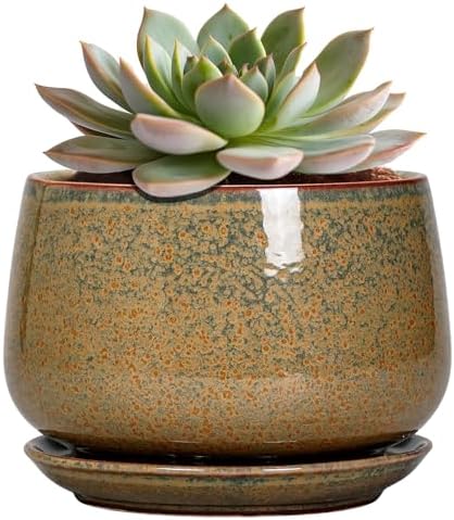 G EPGardening 6 Inch Plant Pot - Ceramic Succulent Pots with Drainage and Ceramic Tray, Round Planter for Indoor Outdoor Plants, Decorative Flower Pots, Home Decor, Gift for Women Men, Speckled Brown by GEPGardening