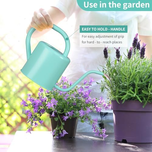 Watering Can, Stainless Steel Watering Can for Indoor & Outdoor Plants, 1L/35oz Long Spout Water Can with Handle, Rust-Proof Plant Watering Pot for House Plants, Garden Flowers - Image 5