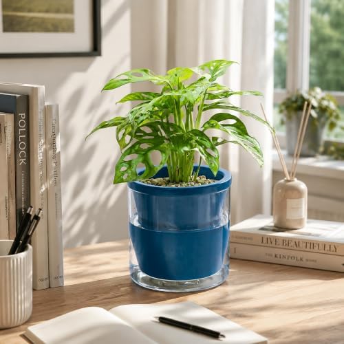D'vine Dev Self-Watering Blue Terracotta Planter, 6 in, 2-Pack, 37-Y-B-4 - Image 3