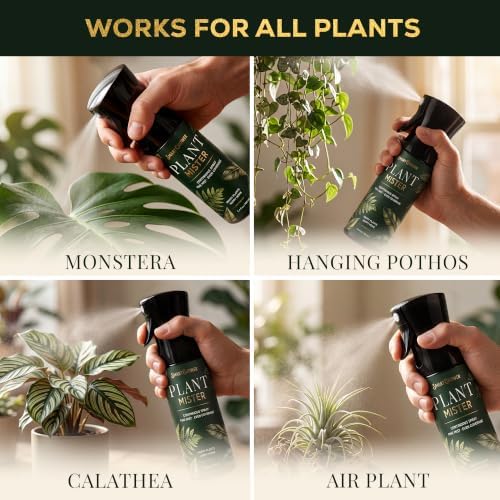 Plant Mister Spray Bottle for Indoor Plants With Plant Care Guide - Image 5