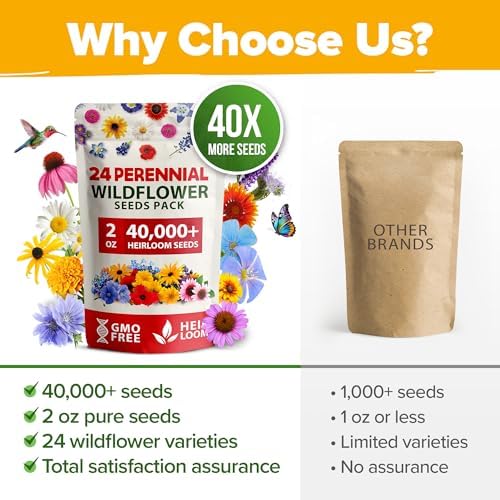 HOME GROWN 24 Wildflower Variety Mix 60,600+ Flower Seeds 2 oz - Image 7