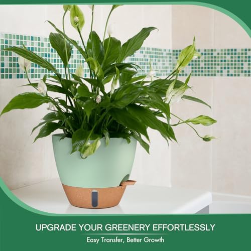 2 Pack 10 inch Self Watering Planters, PP Plastic Plant Pots for Outdoor - Image 3