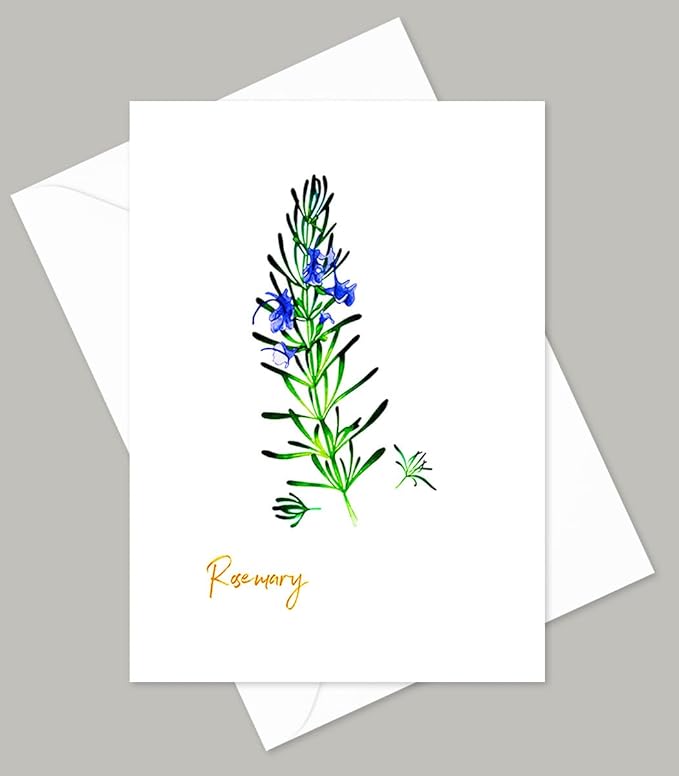 Vintage Herb Greeting Cards, 5x7 Inches, Set of 10 with Decorative Stickers, Blank Inside.