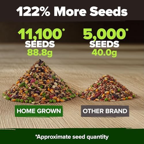 HOME GROWN 20 Variety Survival Seed Vault, 10,000+ Vegetable Seeds - Image 3