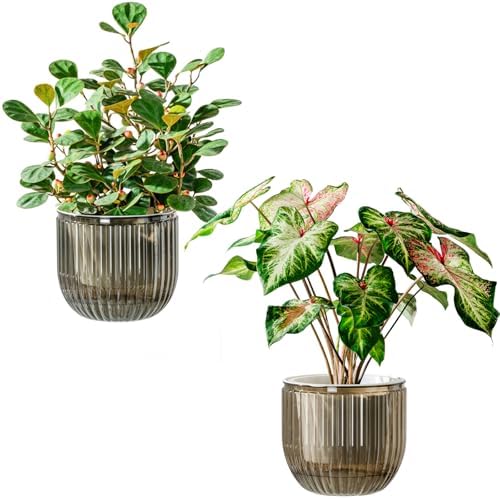 Melphoe Self Watering Pots for Indoor Plants Planter, 6.5 Inch 2 Pack Planters Self Watering Plant Pots for Flower, Houseplants, Succulent, African Violets and Cactus with Drainage by Melphoe