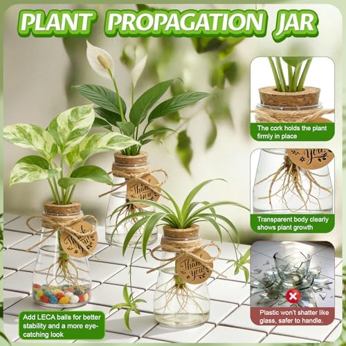 48PCS Plant Propagation Stations 3.35'' Plastic Propagation Jars Clear Vase - Image 3