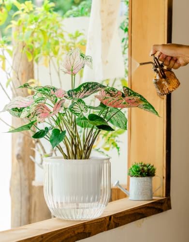 Melphoe Self Watering Pots for Indoor Plants Planter, 8.3 Inch 2 Pack Planters Self Watering Plant Pots for Flower, Houseplants, Succulent, African Violets and Cactus with Drainage - Image 3