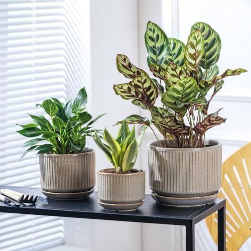 SURE YUESI Ceramic Plant Pots Set of 3, Indoor Outdoor Planters with Drainage Hole and Saucer, Ceramic Flower Pots for Indoor Plants, 4.3+5.5+6.8 Inch, Home, Garden, Patio and Office, Matte Grey - Image 6