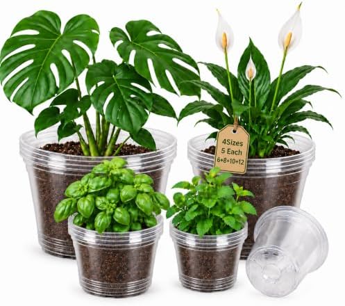Bluepro Clear Nursery Pots with Drainage Holes, 6/8/10/12 Inch, 20-Pack by Bluepro