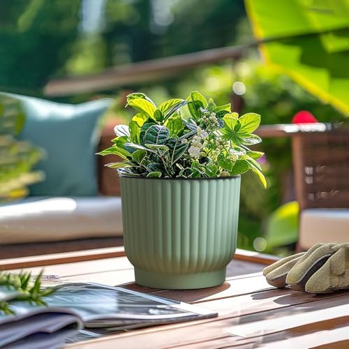 T4U Self Watering Pots for Indoor Plants, 6 Inch 6 Pack Planter Green - Image 5