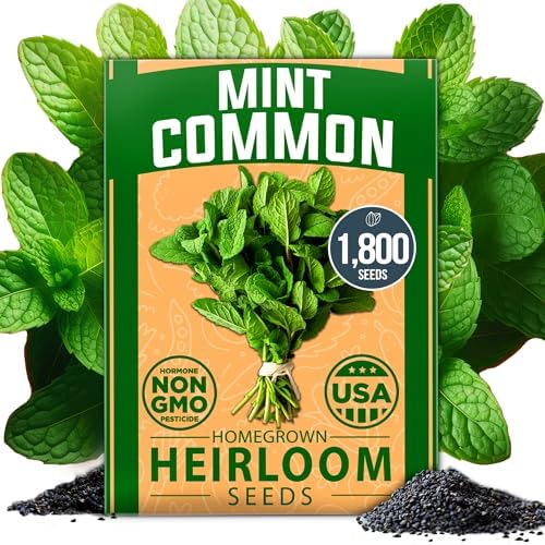 HOME GROWN Common Mint Seeds, 1,800 Seeds, Mentha spp by HOMEGROWN
