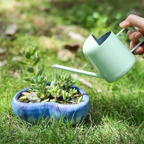 Mini Watering Can, 10oz/300ml Stainless Steel Long Spout Small Watering Can for Indoor Plants Succulents, Herbs (Green) - Image 3