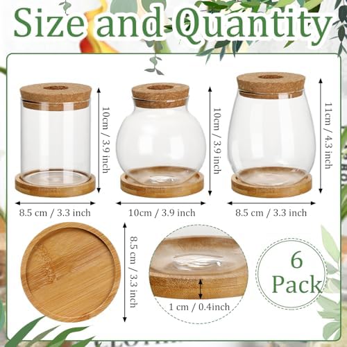 6 Pcs Glass Plant Propagation Station with Wood Lid & Stand, Classic Style - Image 2