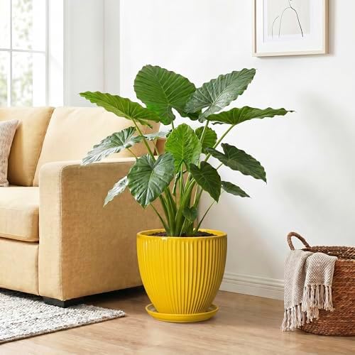 Ceramic Planters for Indoor Plants, 10 Inch Plant Pot Indoor with Drainage Hole and Saucer, Modern Large Flower Pots for Indoor Plants, Round Planter, Home Garden Decor, Gardening Gifts, Yellow - Image 4