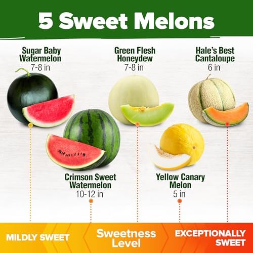 HOME GROWN 5 Variety Melon Mix Seeds, 115+ Seeds, Cucumis melo/Citrullus - Image 3
