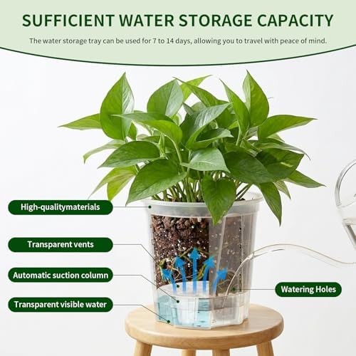 Cdd's Path 6 Inch Clear Self Watering Pots Set, 12 Pack Naked Root Planter with Deep Water Tank, Large Drainage Holes, Reservoir & Air Pipes for Indoor Outdoor Plants, Flowers, Seedlings - Image 2