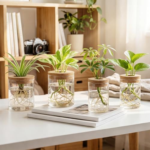Dahey 4Pcs Glass Plant Propagation Station, 2 Large Vases & 2 Small Pots - Image 5