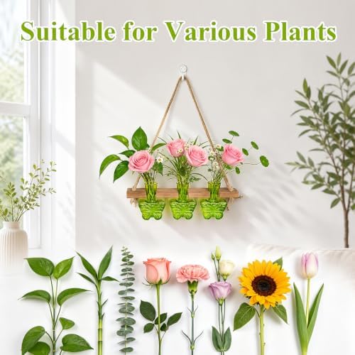 XXXFLOWER Plant Propagation Station Hanging Butterfly Shaped Vase Green - Image 4