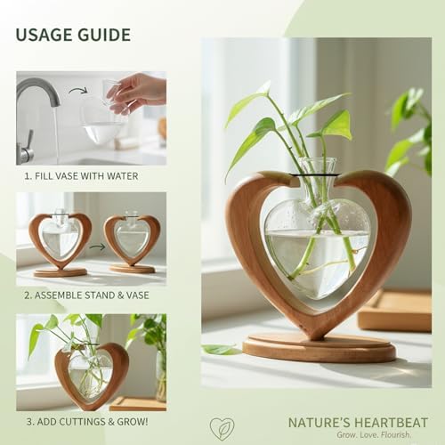 Plant Propagation Station, Heart Glass Vase, Solid Wooden Stand - Image 4