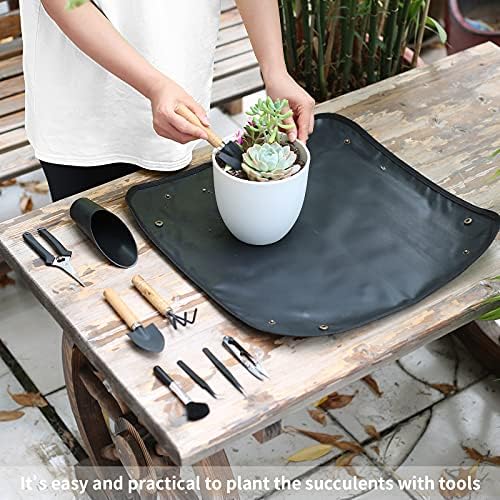 11Pcs Succulent Tools, Mini Garden Tools, Plant Repotting Set(No Flowerpot) - Image 5