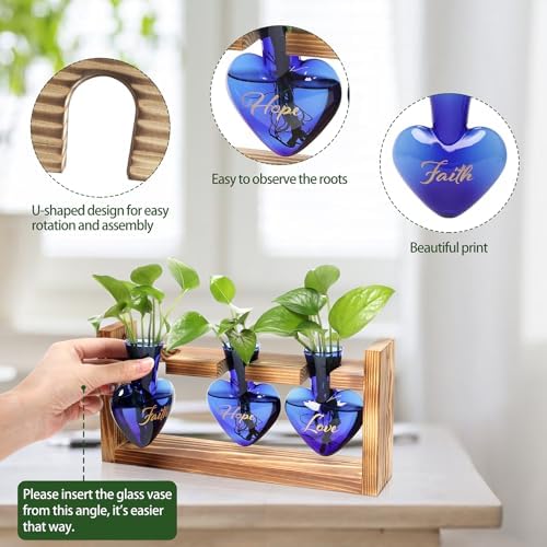 Plant Terrarium Propagation Stations Hydroponics - Image 2