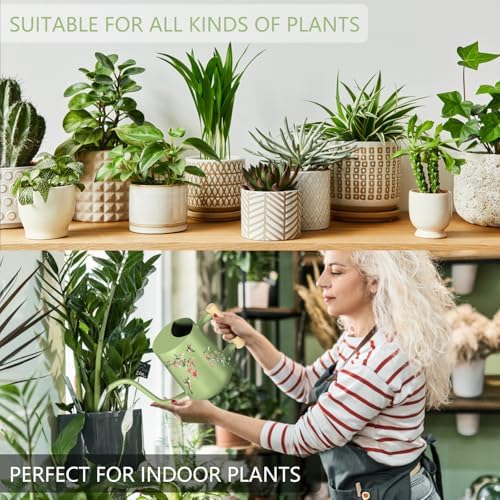 Watering Can Indoor Plants, 35oz Small Stainless Steel Metal Watering Can Modern Decorative Watering Pot with Long Spout for Indoor House Plant Bonsai Garden Flowers (Saga Green 2) - Image 5