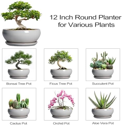 SQOWL 12 Inch Bonsai Pots, Large Ceramic Succulent Pots with Saucer, Gray - Image 7