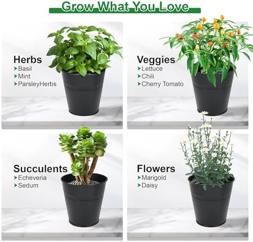 Herb Garden Planter Indoor Kit – 6 Metal Pots with 2 Trays for Windowsill & Kitchen Counter – Modern Decorative Indoor Planters for Herbs, Succulents & Small Plants, Black - Image 6