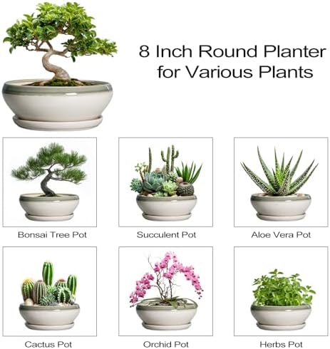 SQOWL Bonsai Tree Pots - 8 Inch Ceramic Succulent Pots with Drainage Hole and Saucer, Shallow Round Planter Indoor Outdoor, Ceramic Bonsai Pot, Planter Bowl, House Decor, Plant Lover Gift, Gray-Beige - Image 7
