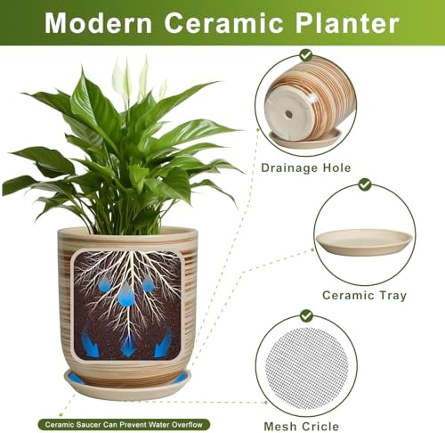 8 Inch Plant Pot, Ceramic Planter for Outdoor Plants, Large Plant Pot Indoor with Drainage Hole and Saucer, Modern Flower Pot for Home Garden Decor Yellow - Image 6