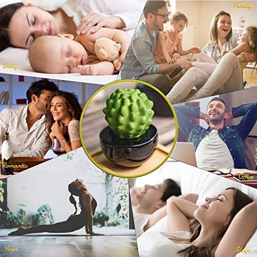 Frank Cactus, Non-Electric Ceramic Diffusers for Essential Oils and Aromatherapy Fragrance, White Ceramic Diffusers in Car or Desk Office Decor and Small Bathroom at Home, Black vase - Image 4