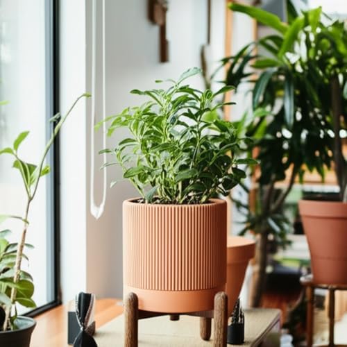 Large Terracotta Pots, 8 Inch Clay Planter Pots with Drainage Hole & Saucer (with Stand), Garden Planters for Indoor/Ourdoor Plants, Cactus & Snake Plant - Image 4