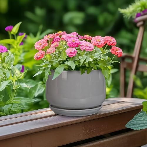 G EPGardening Ceramic Pot for Plants, 6 Inch, Gray - Image 4