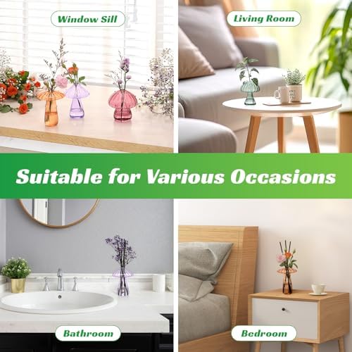 Mushroom Glass Propagation Terrarium Vases for Plants Set Colored of 6 - Image 5