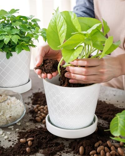 EFISPSS Flower Planter –5 inch Ceramic Plant Pots with Drainage Holes and Ceramic Tray - Gardening Home Desktop Office Windowsill Decoration Gift Set of 4 - Plants NOT Included (White) - Image 3