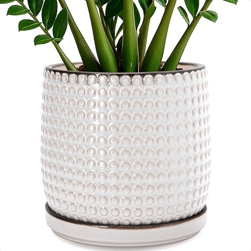 D'vine Dev Beaded Ceramic Pot with Saucer, 10 in, Smoked White, 27-C-P-1 by DvineDevPlanterPotsandStand