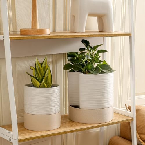 Nihow Ceramic Self Watering Plant Pot for Indoor Plants, 8 Inch,White - Image 5